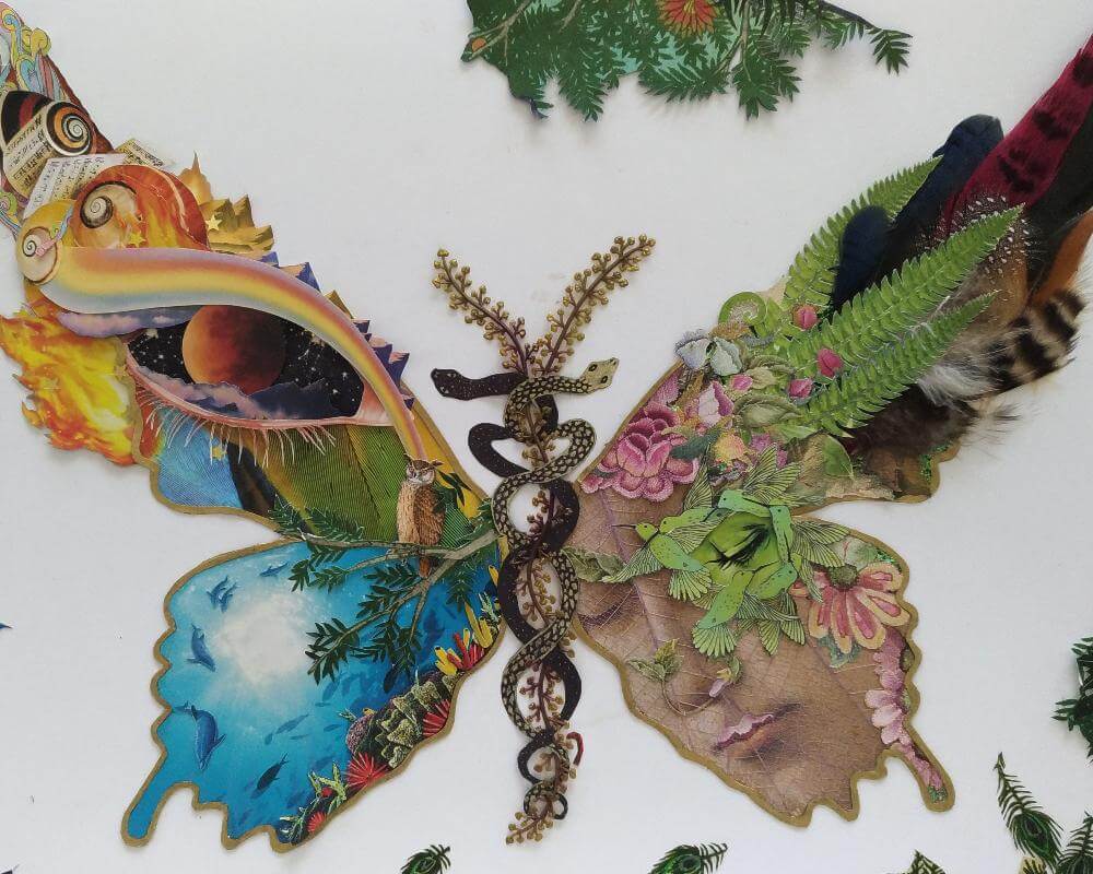 Butterfly collage made for a music album cover
