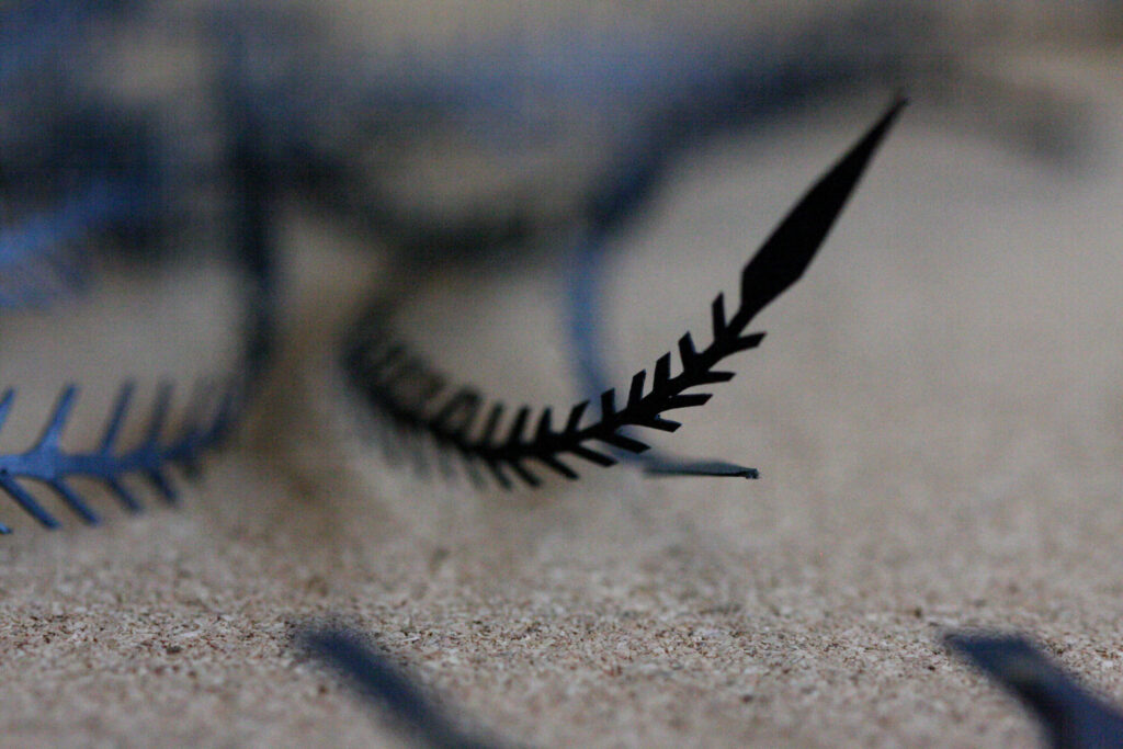 A dark feather-like leaf on sand, close up